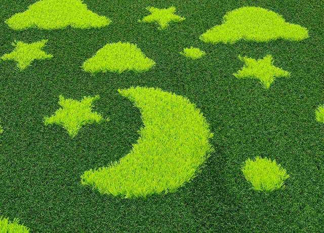 3D pattern artificial grass with textured PE fibers for garden decoration