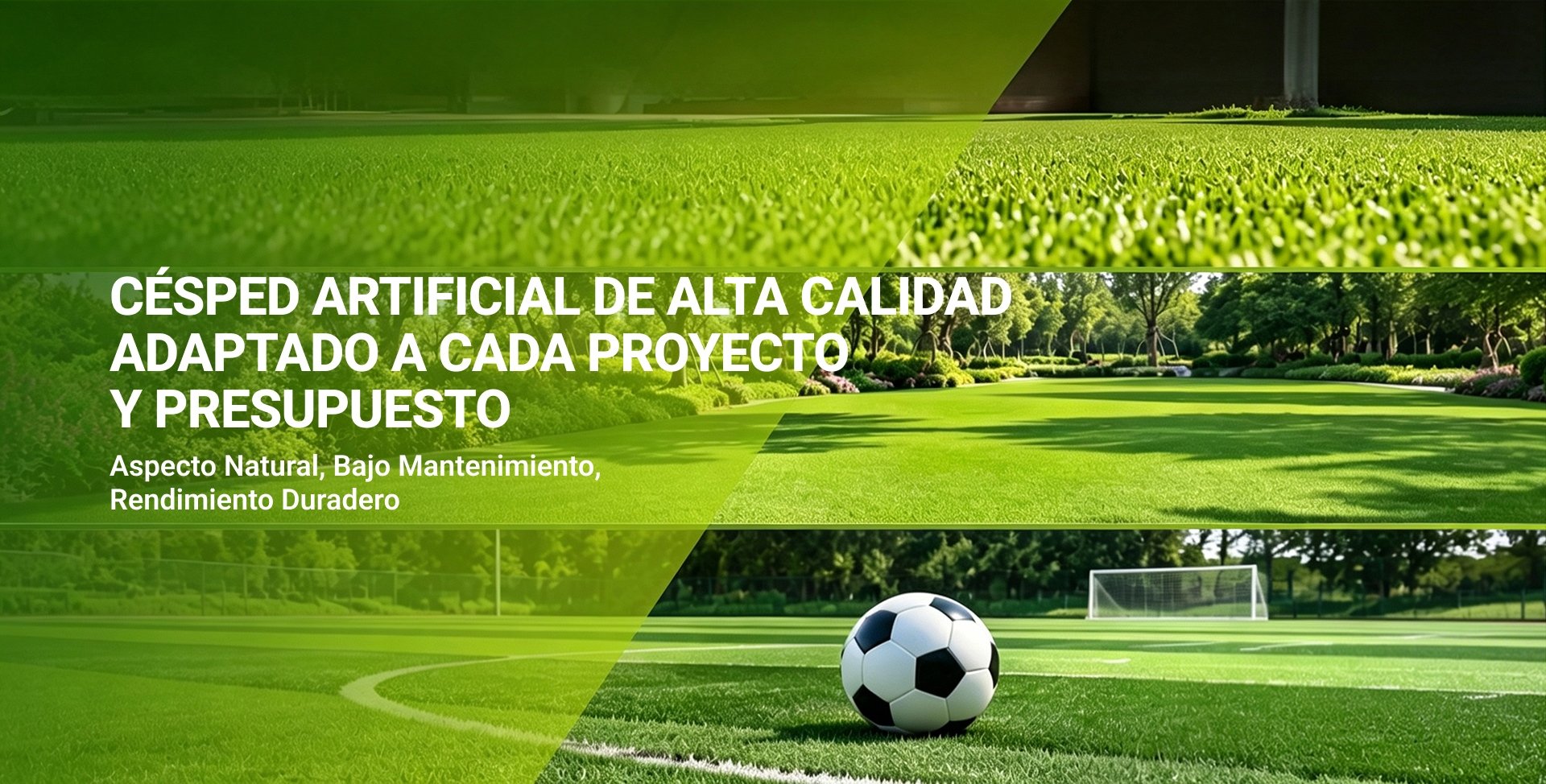 home-banner