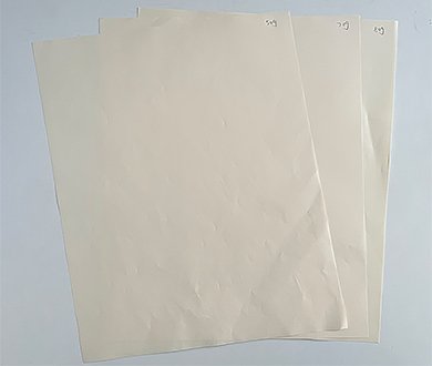 390×330_0001_微信图片_20260703162326_3057_2
