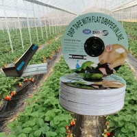 drip tape for vegetable crops