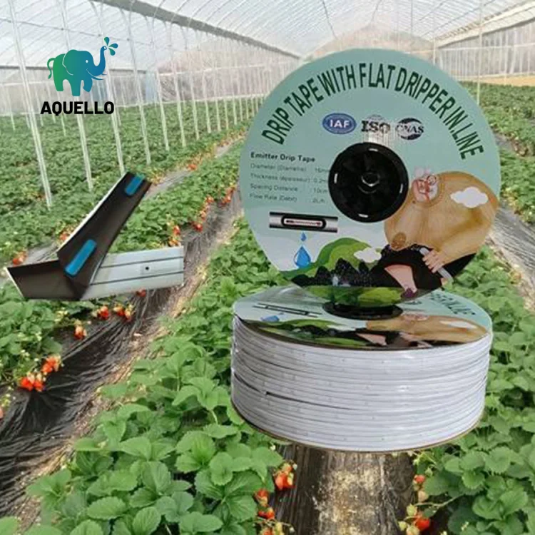 drip tape for vegetable crops