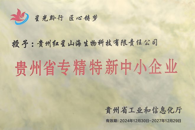 Guizhou Specialized, Refined, Unique & Innovative Small and Medium-sized Enterprise