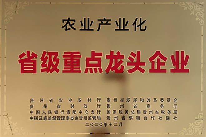 Provincial Key Leading Enterprise in Agricultural Industrialization