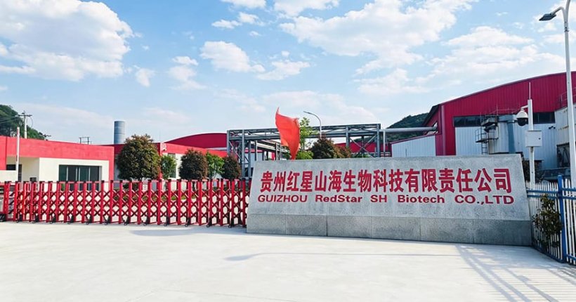 Guizhou Factory