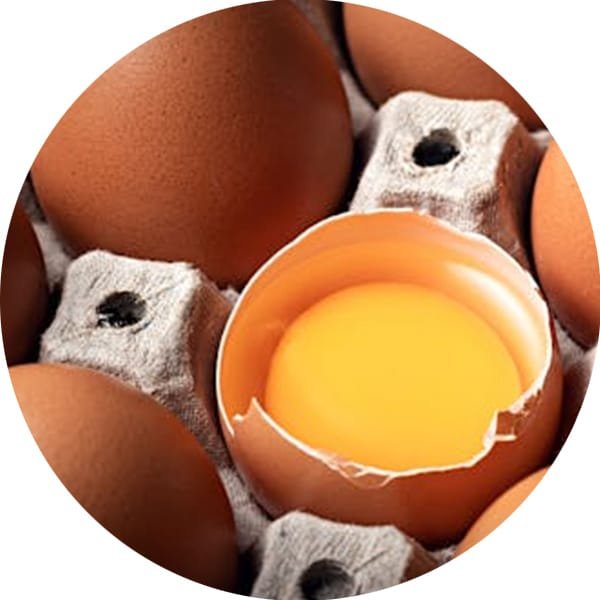 Poultry Feed