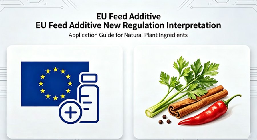 EFSA Reviews Carvacrol, Cinnamaldehyde & Capsicum Oleoresin Blend Feed Additive for Broiler Authorisation Renewal