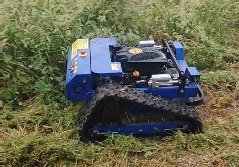 electric lawn mower