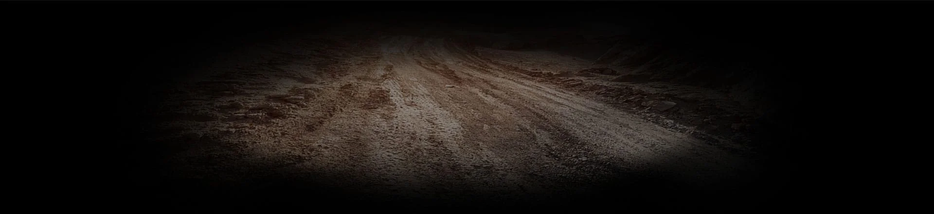 pro_bg1