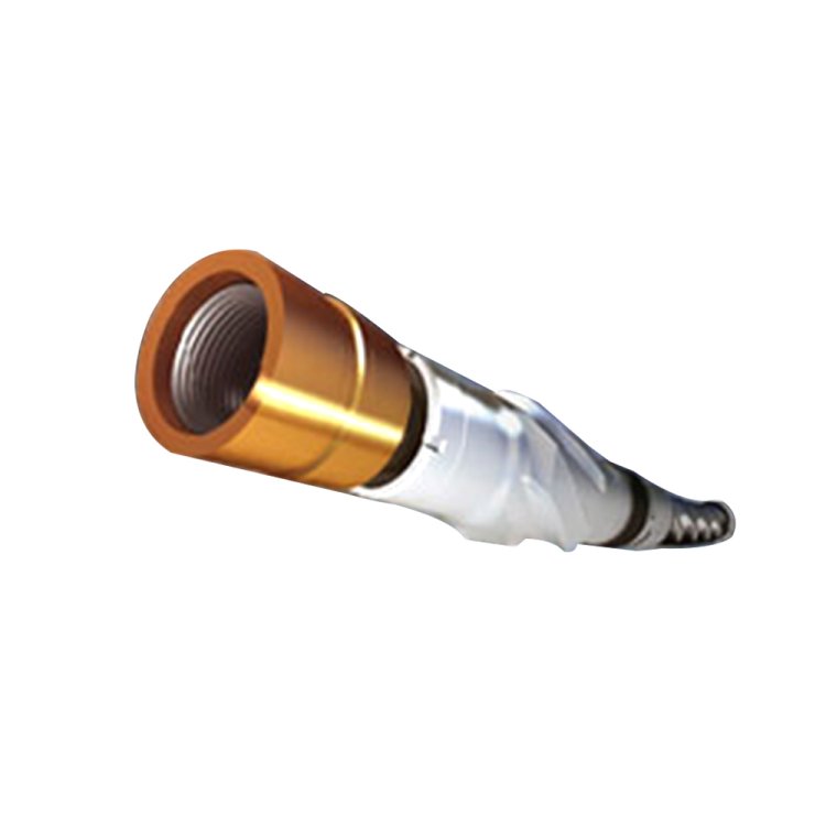 Downhole Motor
