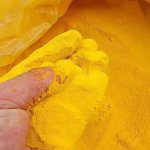 _0002_PAC Yellow