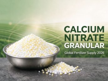 Granular Calcium Nitrate: Why Global Agri‑Buyers Should Secure Reliable Supplies in 2026