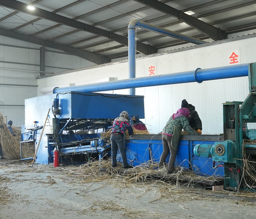 Hemp Scutching&Decortication Line