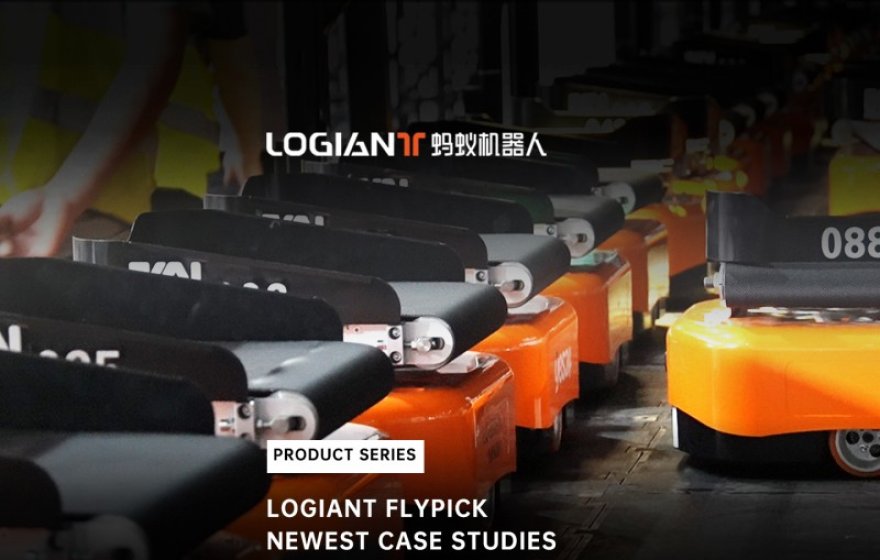 FlyPick in Action | Real Case Studies for Smarter Picking Automation