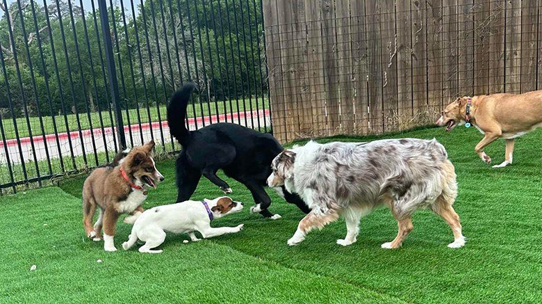 Pet Parks