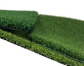 UV-resistant cricket grass for outdoor sports fields