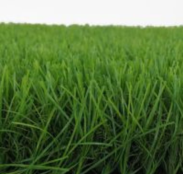 Three Tone Landscaping Artificial Turf 