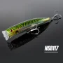 NSB117