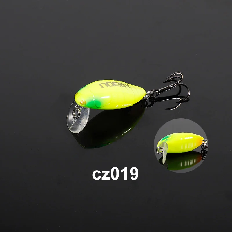 CZ019