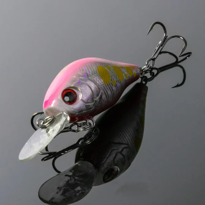 NF003