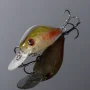NF004
