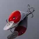 NF008