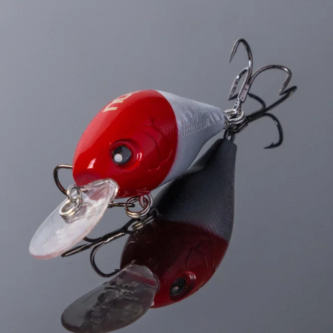 NF008