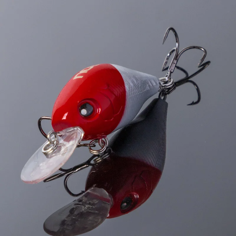 NF008