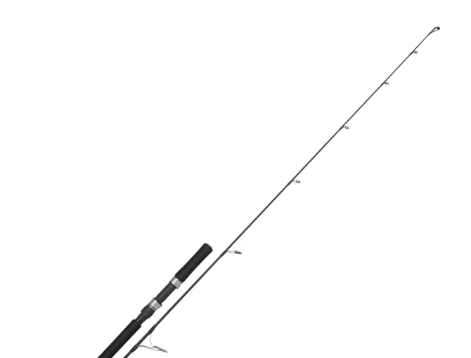 voyager jigging 01