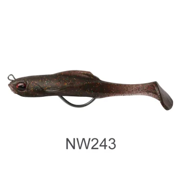 NW243