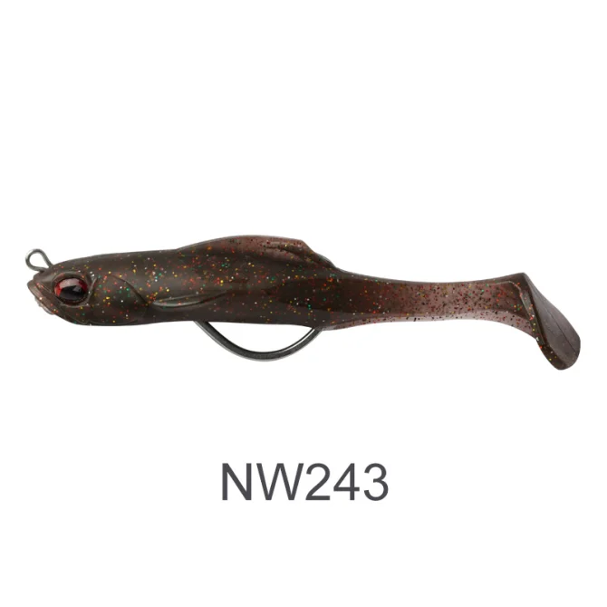 NW243