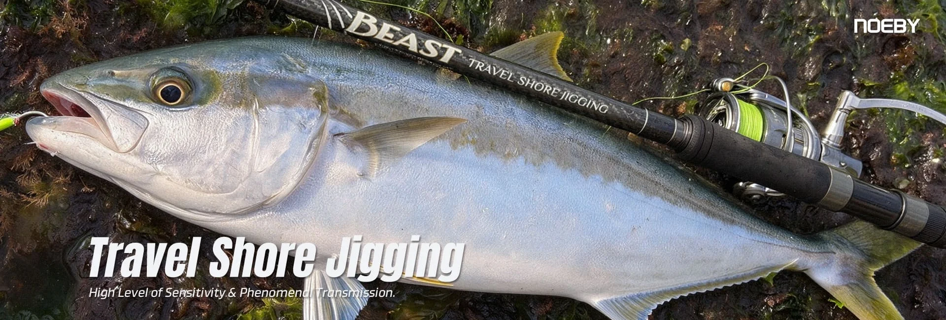 beast travel shore jigging