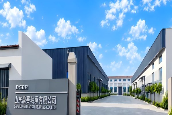 DSBR Bearing Factory