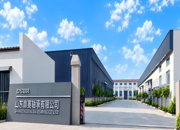 DSBR Bearing Factory
