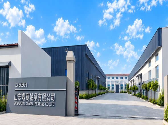 DSBR Bearing Factory