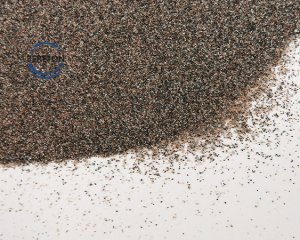 1_0000_DSCF6111