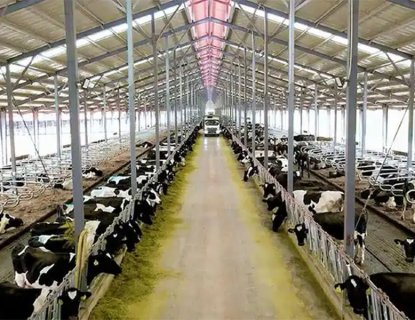 Galvanized steel cow barn frame