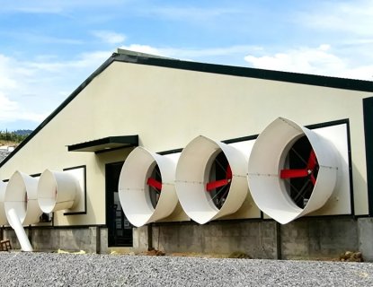 Custom steel structure cowshed