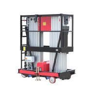 dual mast aerial work platform structure