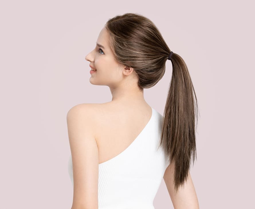 Pony Wig