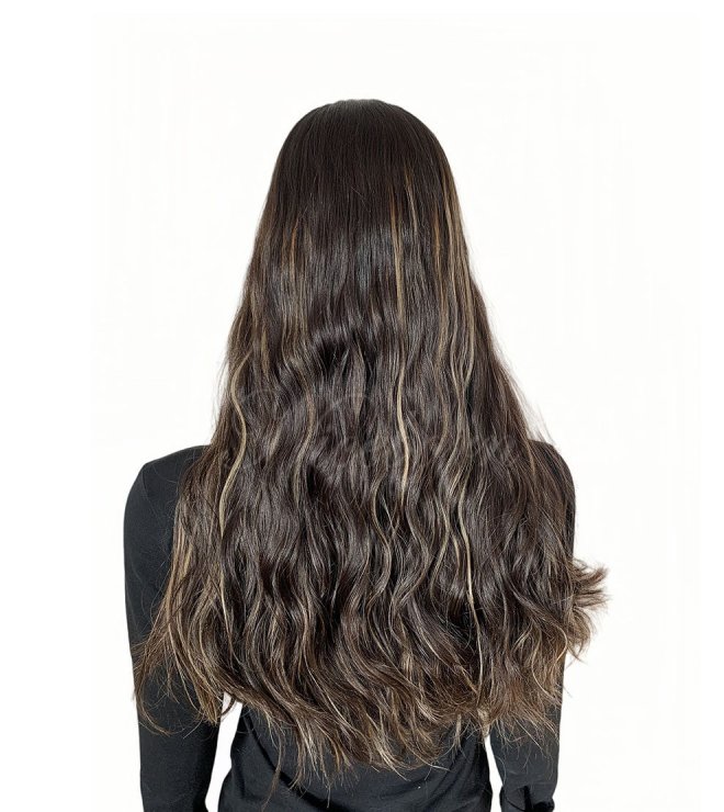 European human hair wig Silk top wig long length #4-16