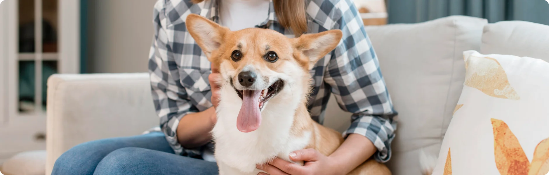nbanner