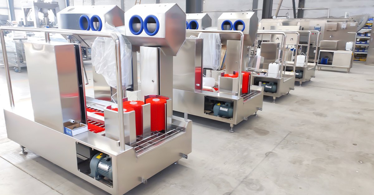 HE-HCDS01 boot washing station operating at Polish poultry plant entrance after retrofit