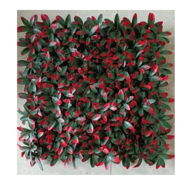 Azalea roja-DJ-R