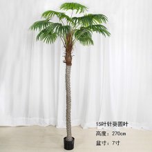 _0001_ZKYY001-27003