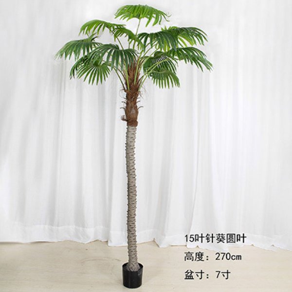 ZKYY001-27003