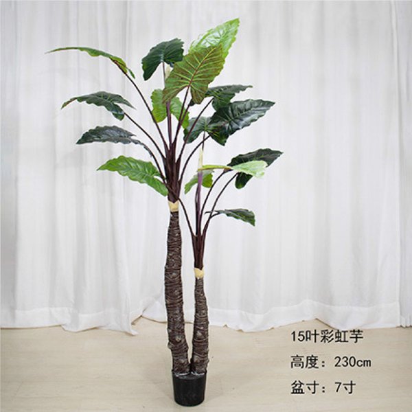 CHY001-23006