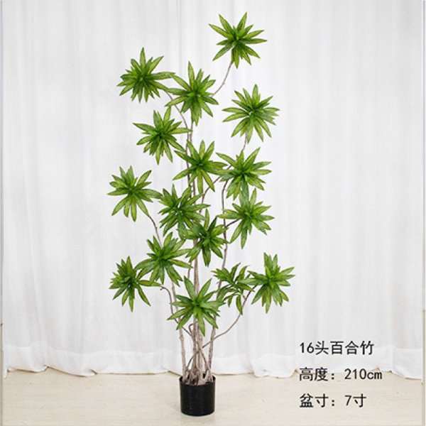 BHZ001-21007