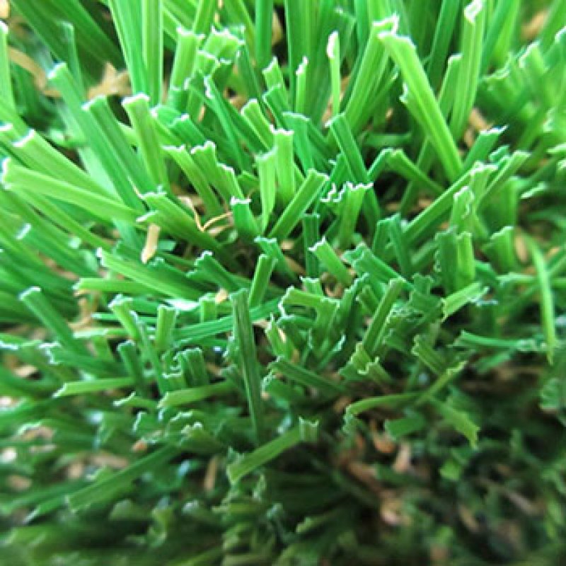 landscaping grass-W shape grass