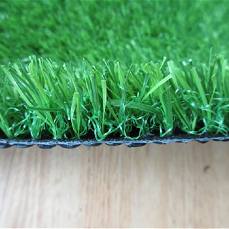 landscaping grass-3 COLOR