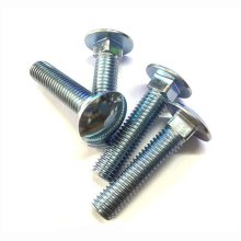 Carriage Bolt3
